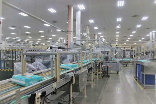 湖北高新技術產業與家政服務創新比翼齊飛，引領區域高質量發展