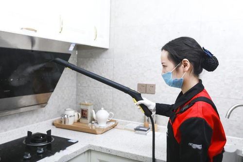 安心找家政，幸福購生活——三替集團(tuán)上演家政年貨盛宴