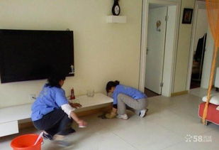 明亮家政服務(wù)中心 點(diǎn)亮生活，專業(yè)家政服務(wù)守護(hù)家的溫度